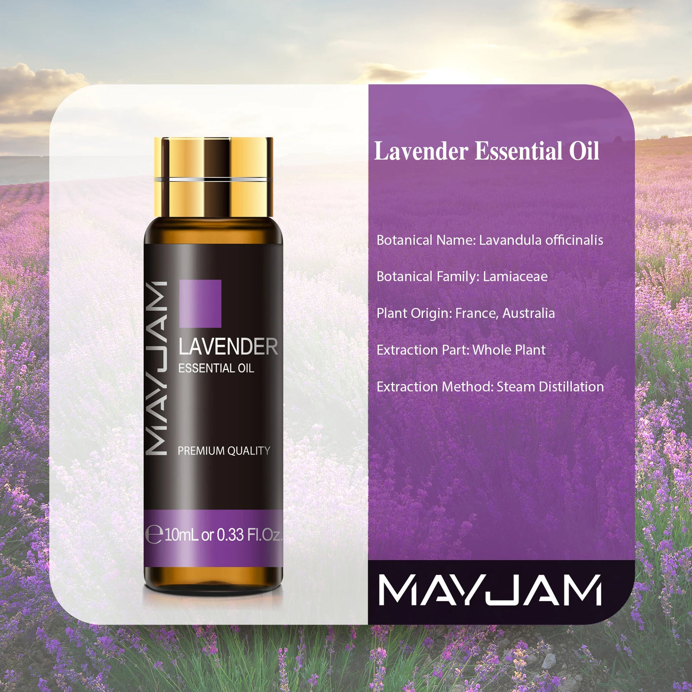 MAYJAM 10ML Ätherisches Duftöl – Lavendel, Vanille & Myrrhe für Seifen, Kerzen & Massage